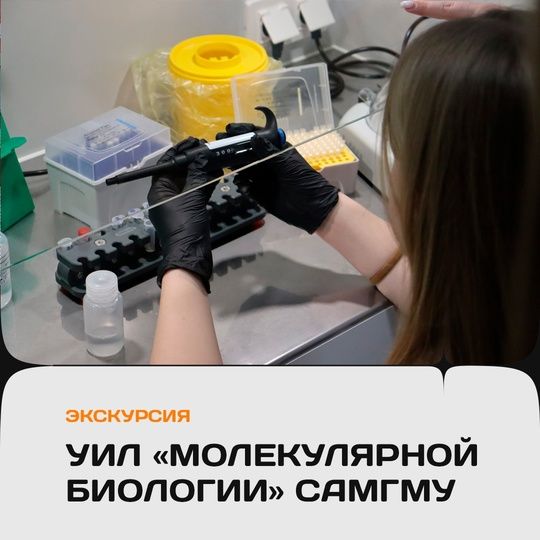 Аннотация