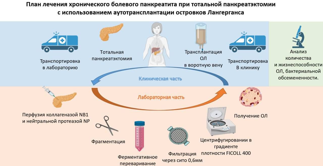 В России впервые выполнили пересадку островковых клеток после удаления поджелудочной железы